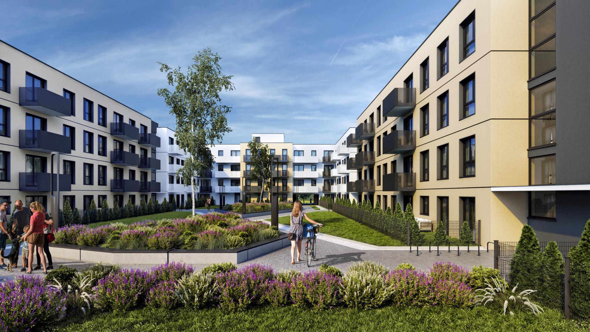 ozarow_etap_B_C_cam2_final_people